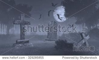 国产大蝙蝠视频在线播放,在线观看,探索神秘生物的奇幻之旅 第1张 国产大蝙蝠视频在线播放,在线观看,探索神秘生物的奇幻之旅 第1张