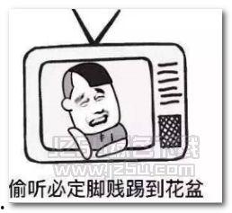 国产表情包图库大全视频,笑点满满，趣味横生