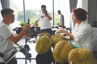 国产榴莲挂果视频下载