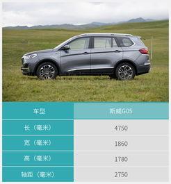 国产特斯拉中控视频播放,智能出行新体验  第3张