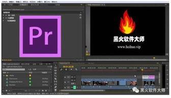 pr社国产视频,PR社引领创新潮流