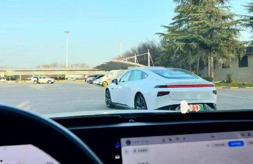 国产车主跑高速视频大全