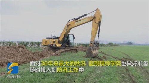 国产挖机伐树技术视频,高效环保的林业作业新篇章